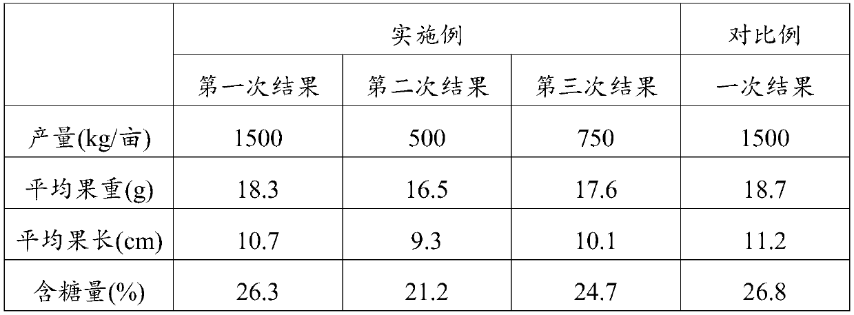 Greenhouse cultivation method for multiple fruiting of Taiwan morus laevigata