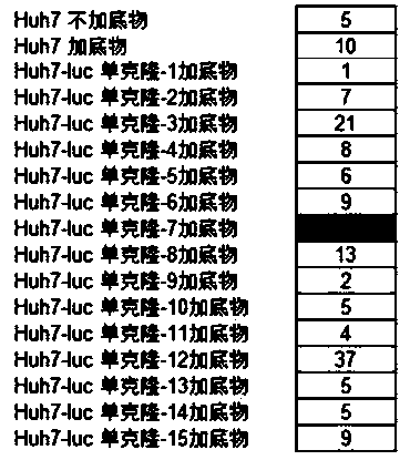 Method for constructing luciferase high-expressed stable cell line and cell line