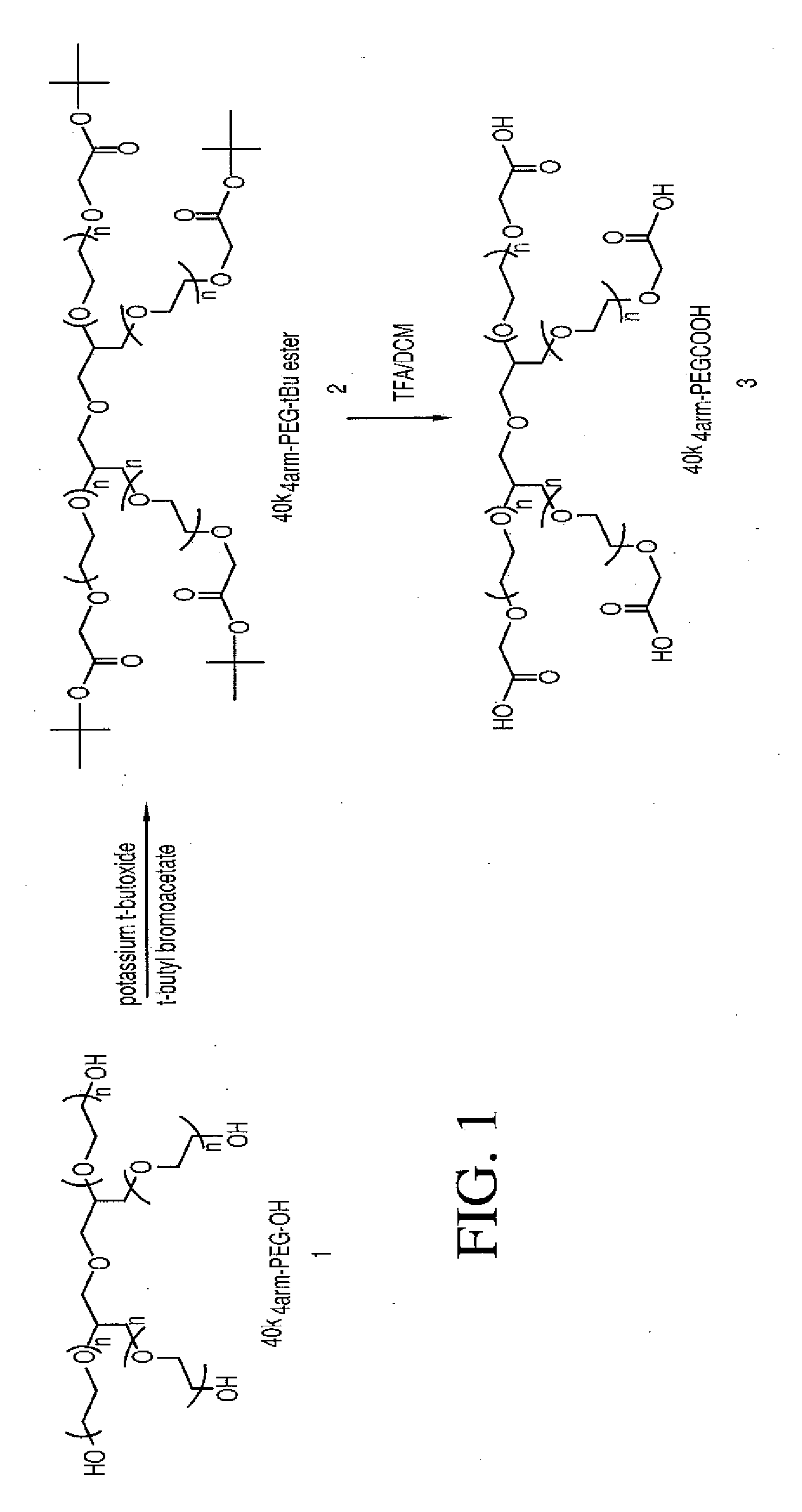 Treatment of non-hodgkin's lymphomas with multi-arm polymeric conjugates of 7-ethyl-10-hydroxycamtothecin