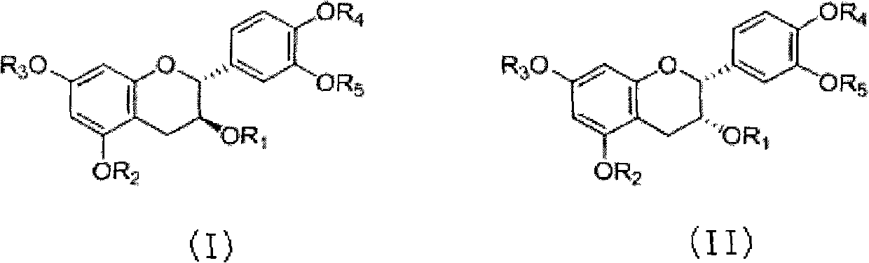 Catechu extract composition for resisting tubercle bacillus, preparation method of catechu extract composition, pharmaceutical preparation containing catechu extract composition, and application of catechu extract composition