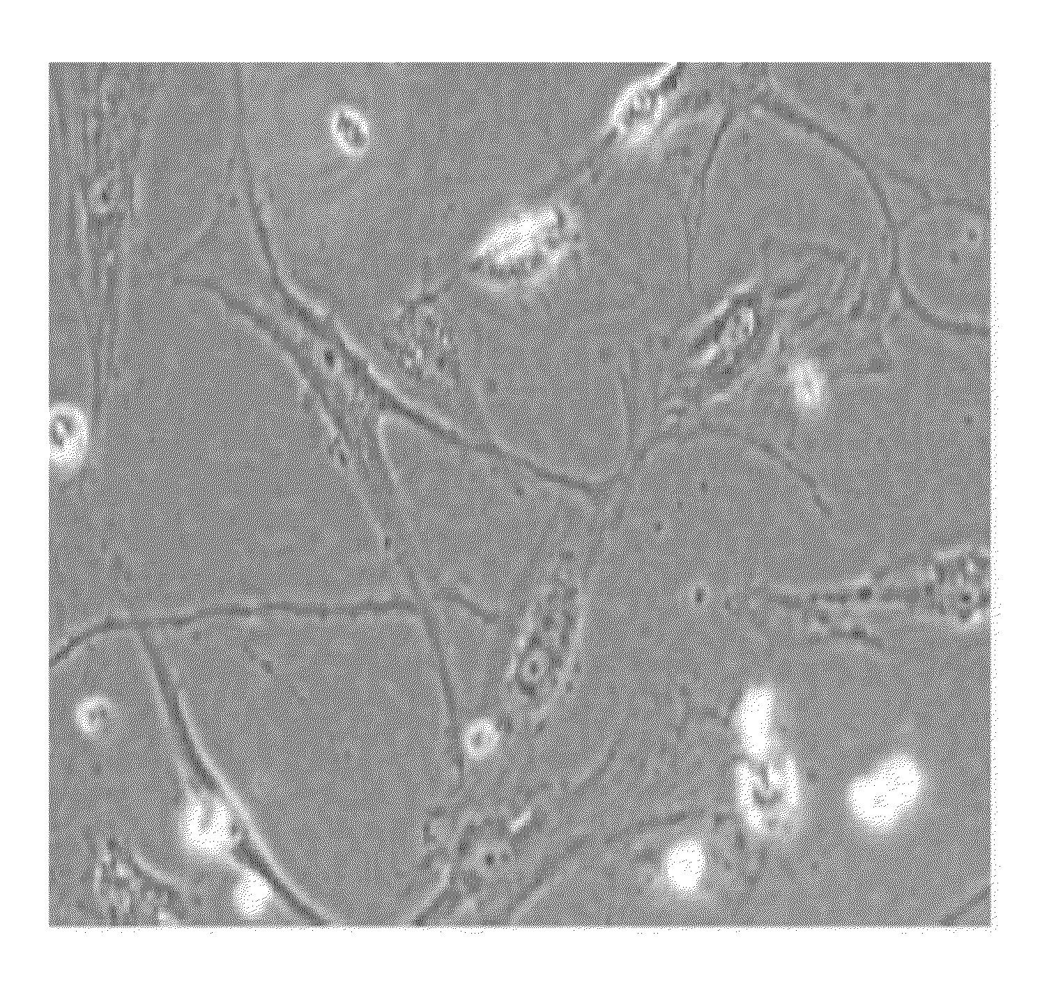 Method of mass producing growth factor using adipose derived adult stem cells