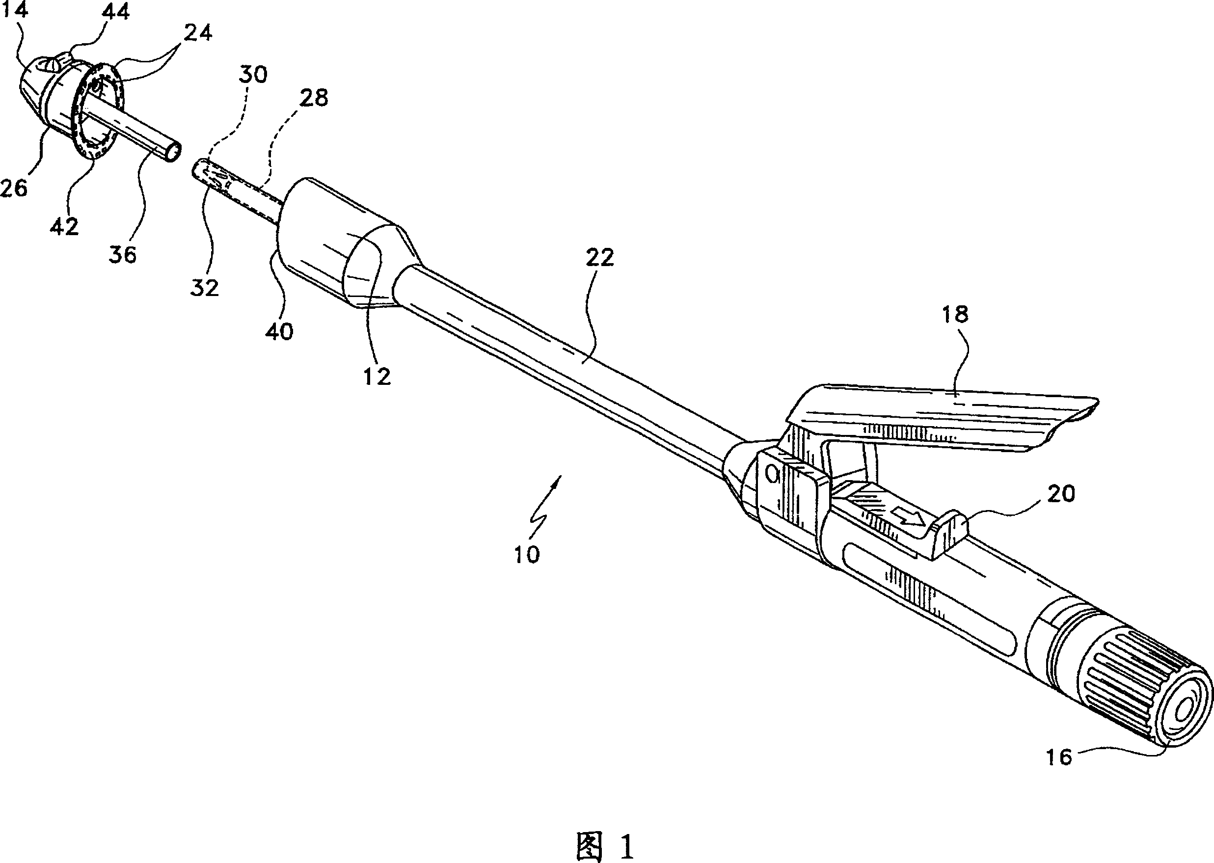 Elliptical intraluminal surgical stapler for anastomosis