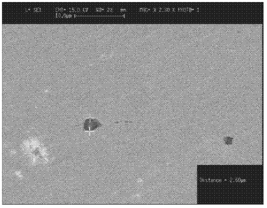 Control method for plasticization of tire cord steel inclusion