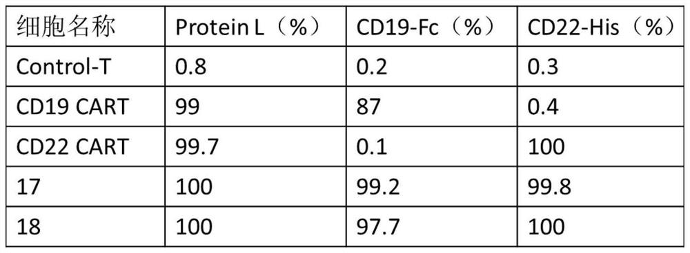 Bispecific CAR structure targeting CD19 and CD22 and application of bispecific CAR structure