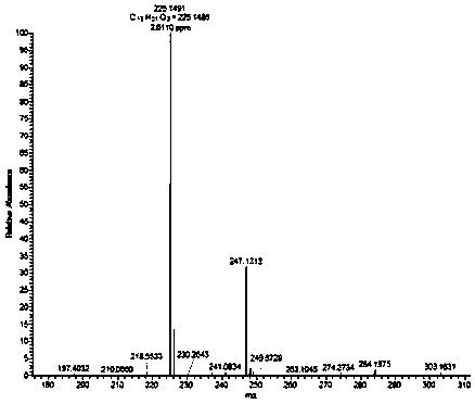 Pyrone compounds and preparation method and application thereof