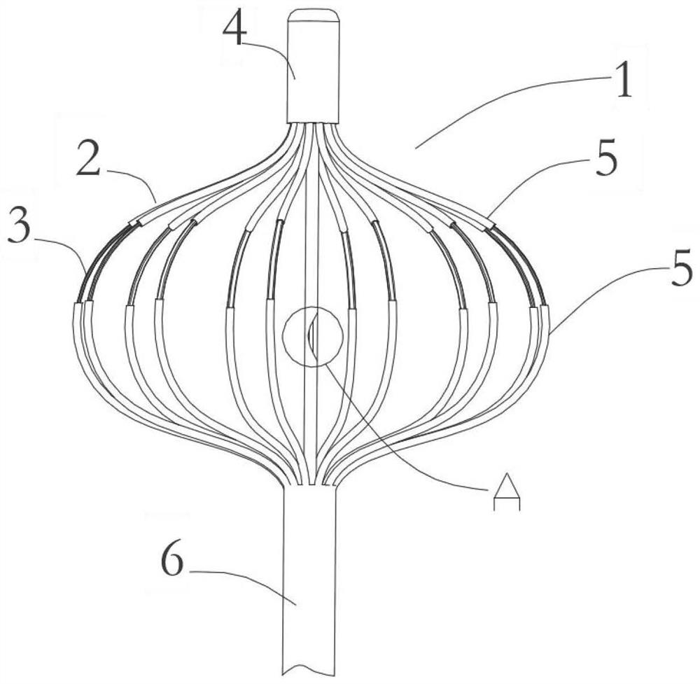 A heart pulse multipolar ablation catheter