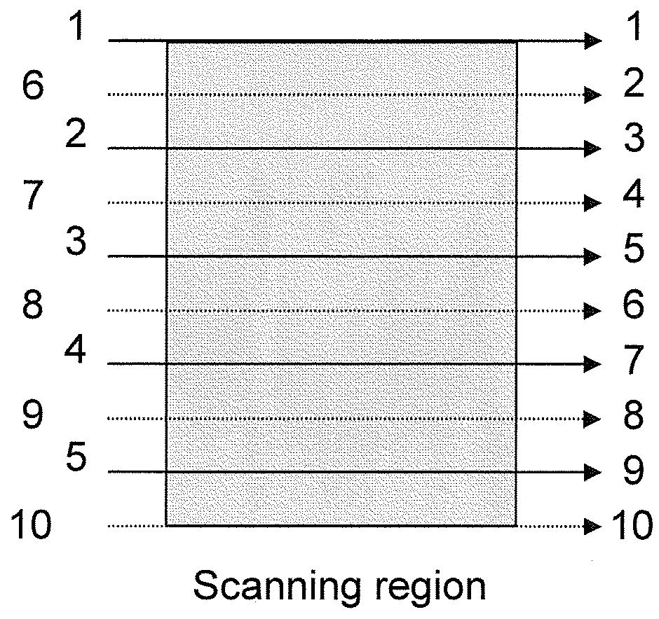 Scanning electron microscope and sample observation method