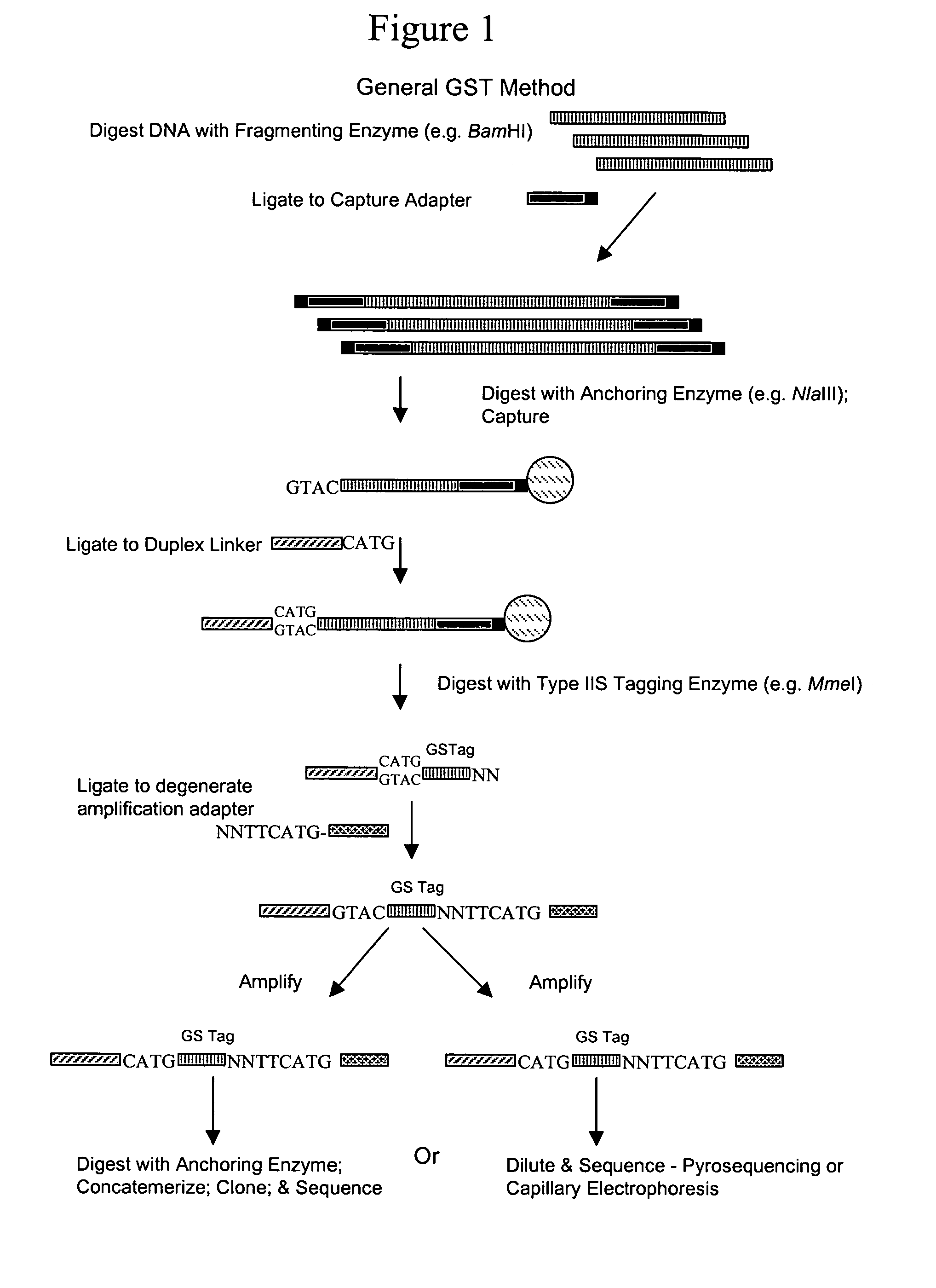 Genome signature tags