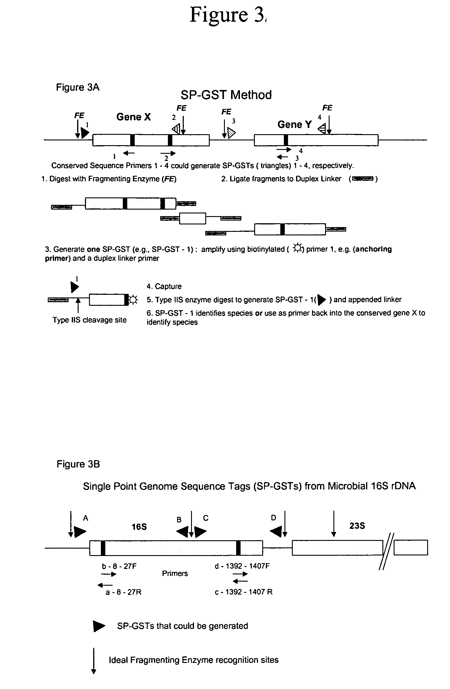 Genome signature tags