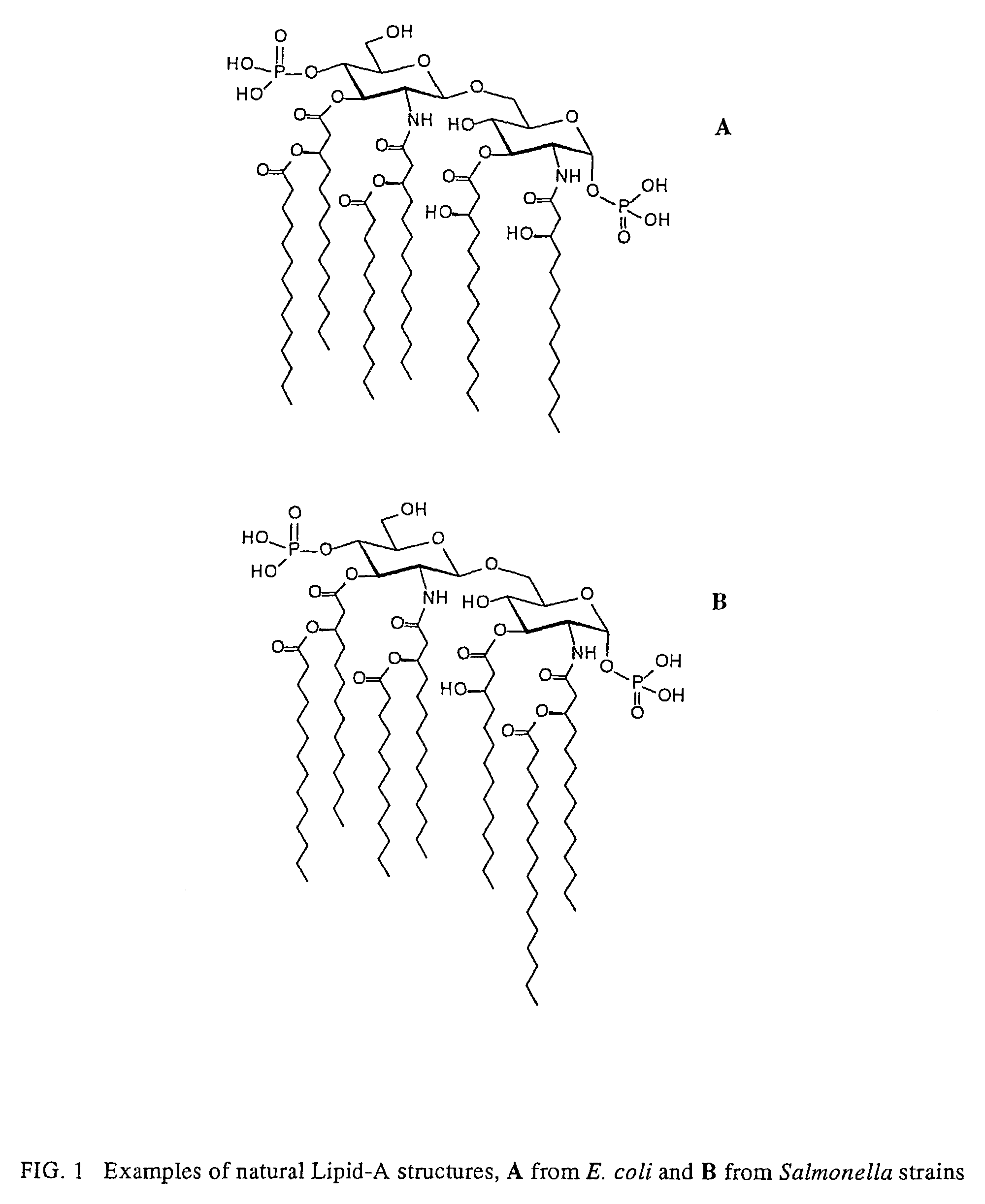 Synthetic lipid-a-analogs and uses thereof