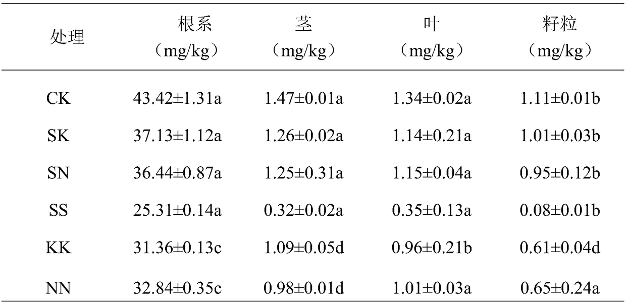 Method for reducing content of heavy metal in corn kernels during corn hybrid offspring interbreeding