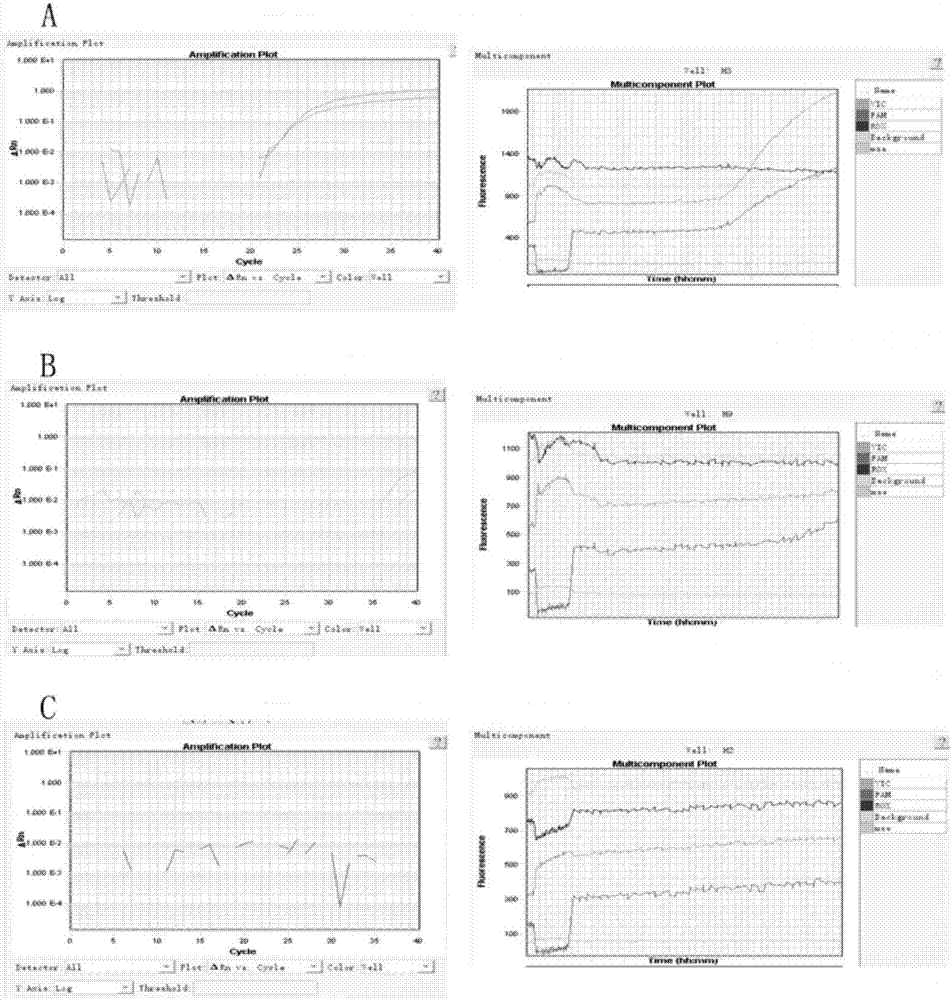 Primer set for detecting genotype of rs2066853 site and detection kit and application thereof