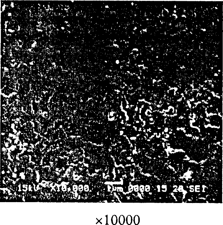 Composite fiber membrane with chiral molecular imprint and its prepn and application