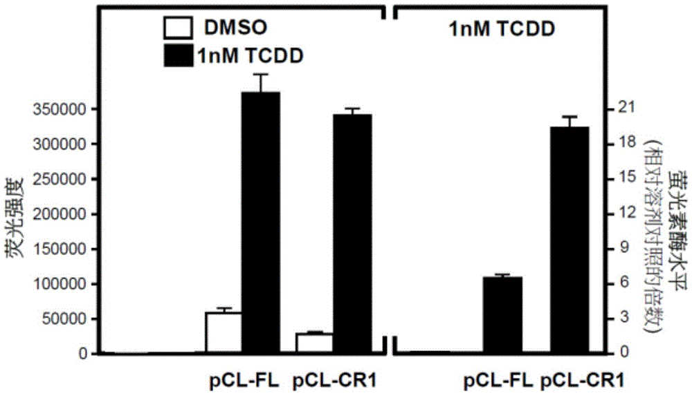 Recombinant vectors and cells for biological detection of dioxin-like substances