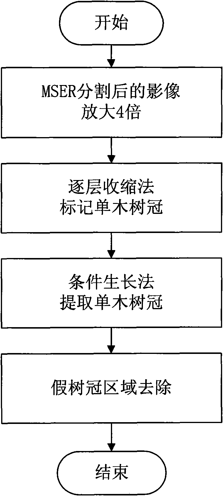 Crown information extraction method and system based on high spatial resolution remote sense image