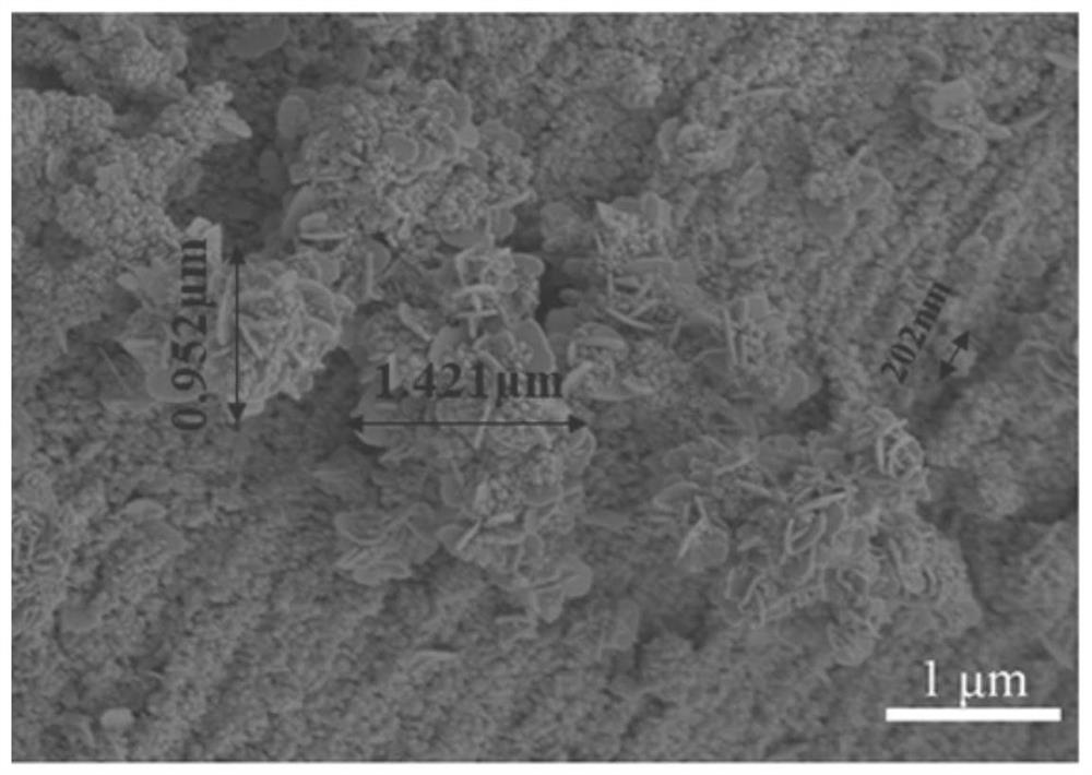 A kind of superhydrophobic fabric and preparation method thereof