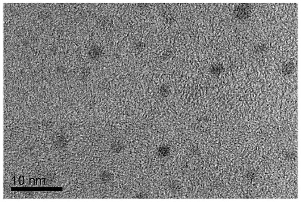 Preparation method and application of nitrogen-doped carbon quantum dot and manganese dioxide composite material