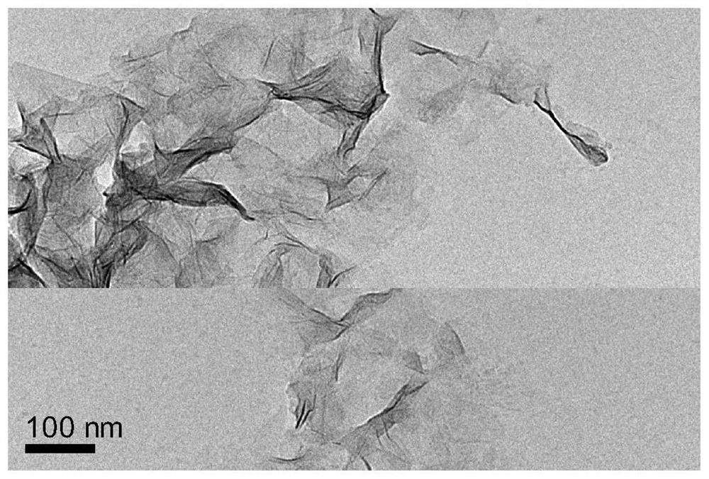 Preparation method and application of nitrogen-doped carbon quantum dot and manganese dioxide composite material