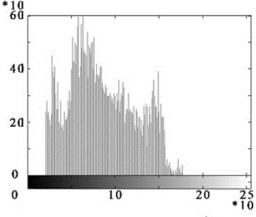 Partitioning human face recognition method based on weighted intensity PCNN model