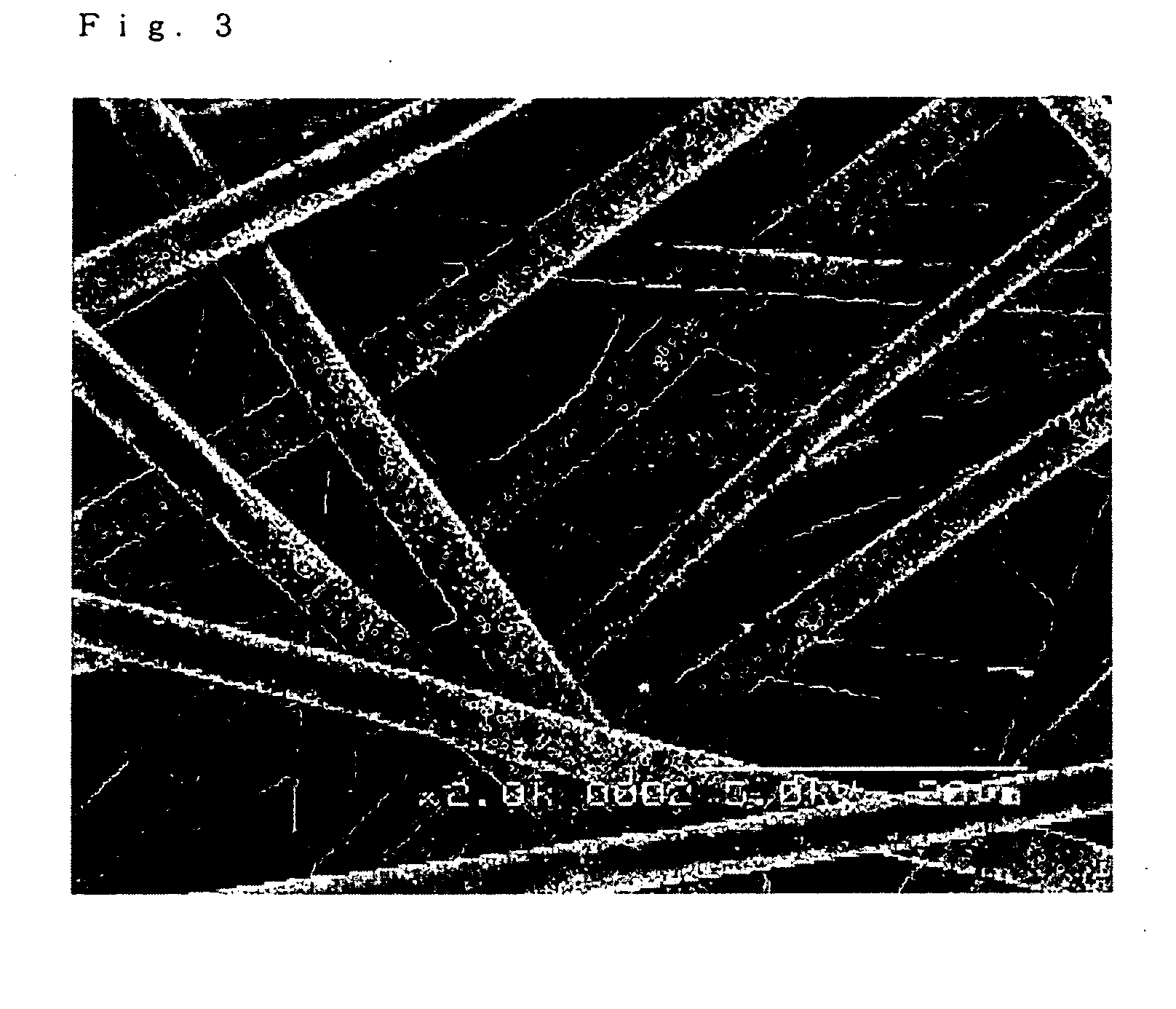 Ultrafine polyactic acid fibers and fiber structure, and process for their production