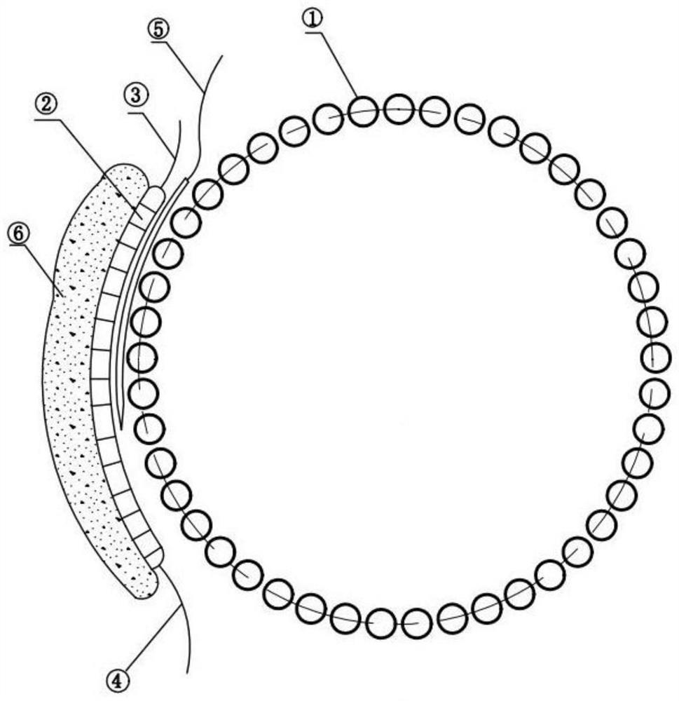 Molten salt heat absorber coating repairing method