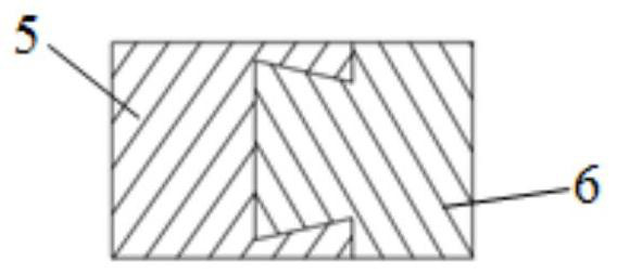 Aquaculture stratified water sample rapid collection device and method