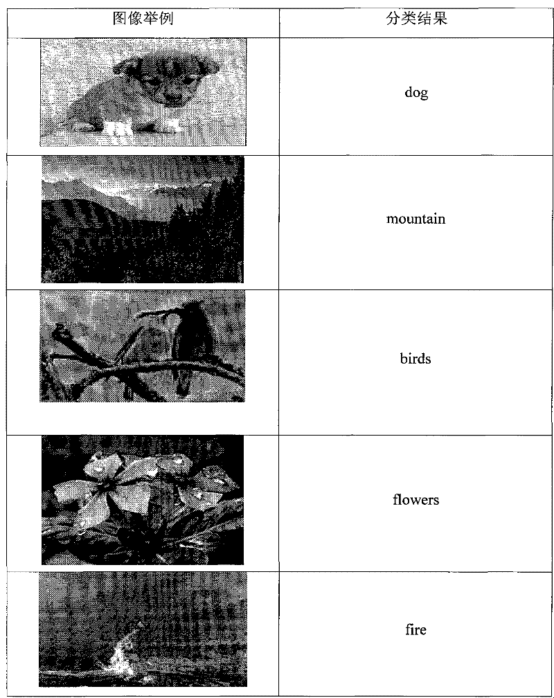 Local spline embedding-based orthogonal semi-monitoring subspace image classification method