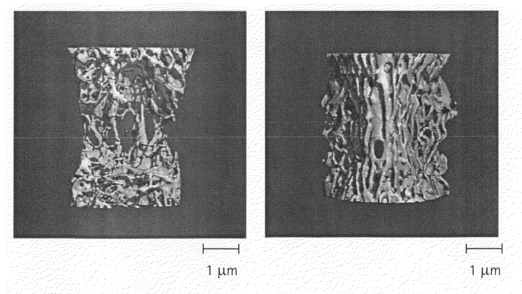 Calcium phosphate-based materials containing zinc, magnesium, fluoride and carbonate