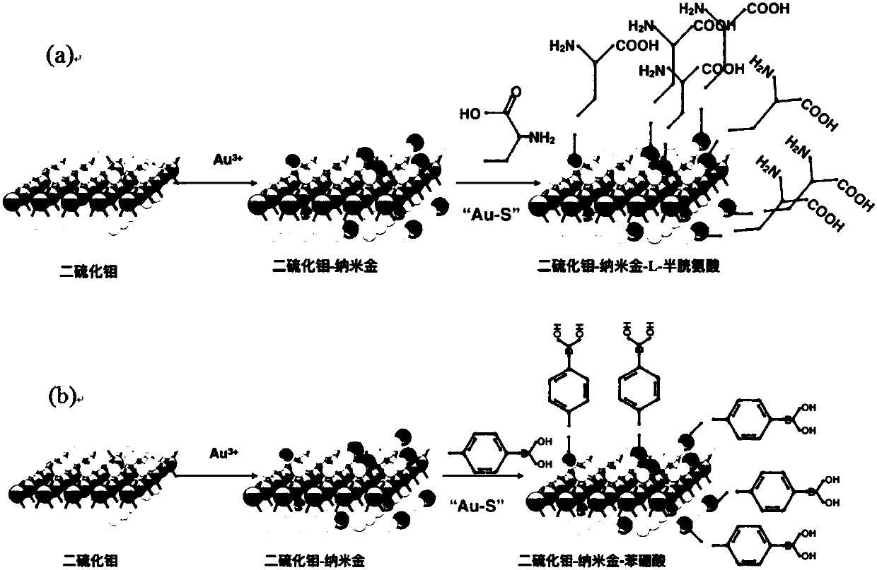 Ultrathin lamellar functionalized molybdenum disulfide nanocomposite material and its application in glycopeptide enrichment