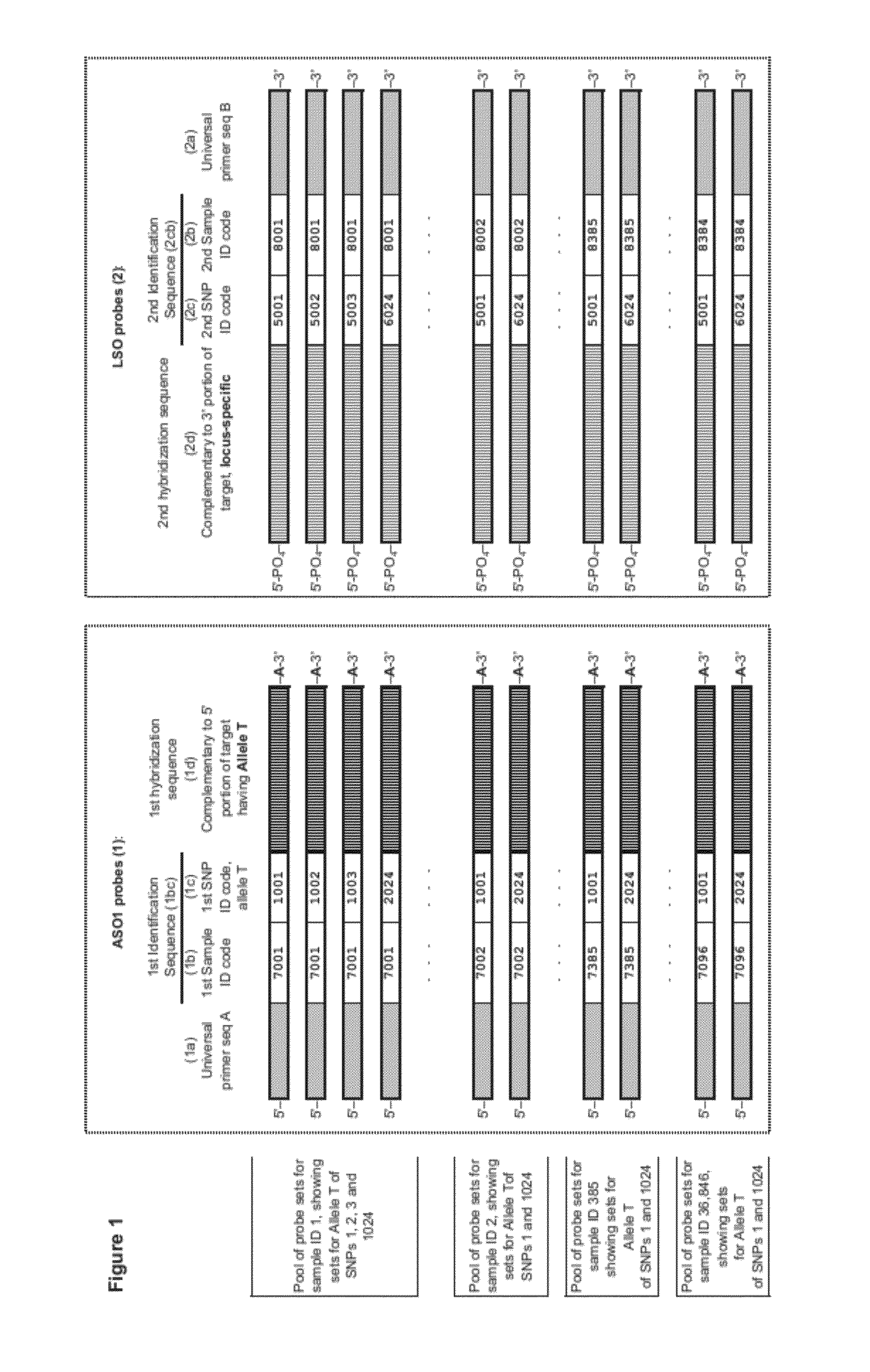 Multi-sample indexing for multiplex genotyping