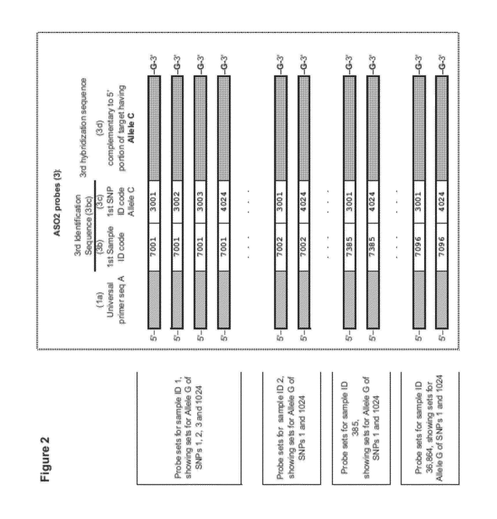 Multi-sample indexing for multiplex genotyping