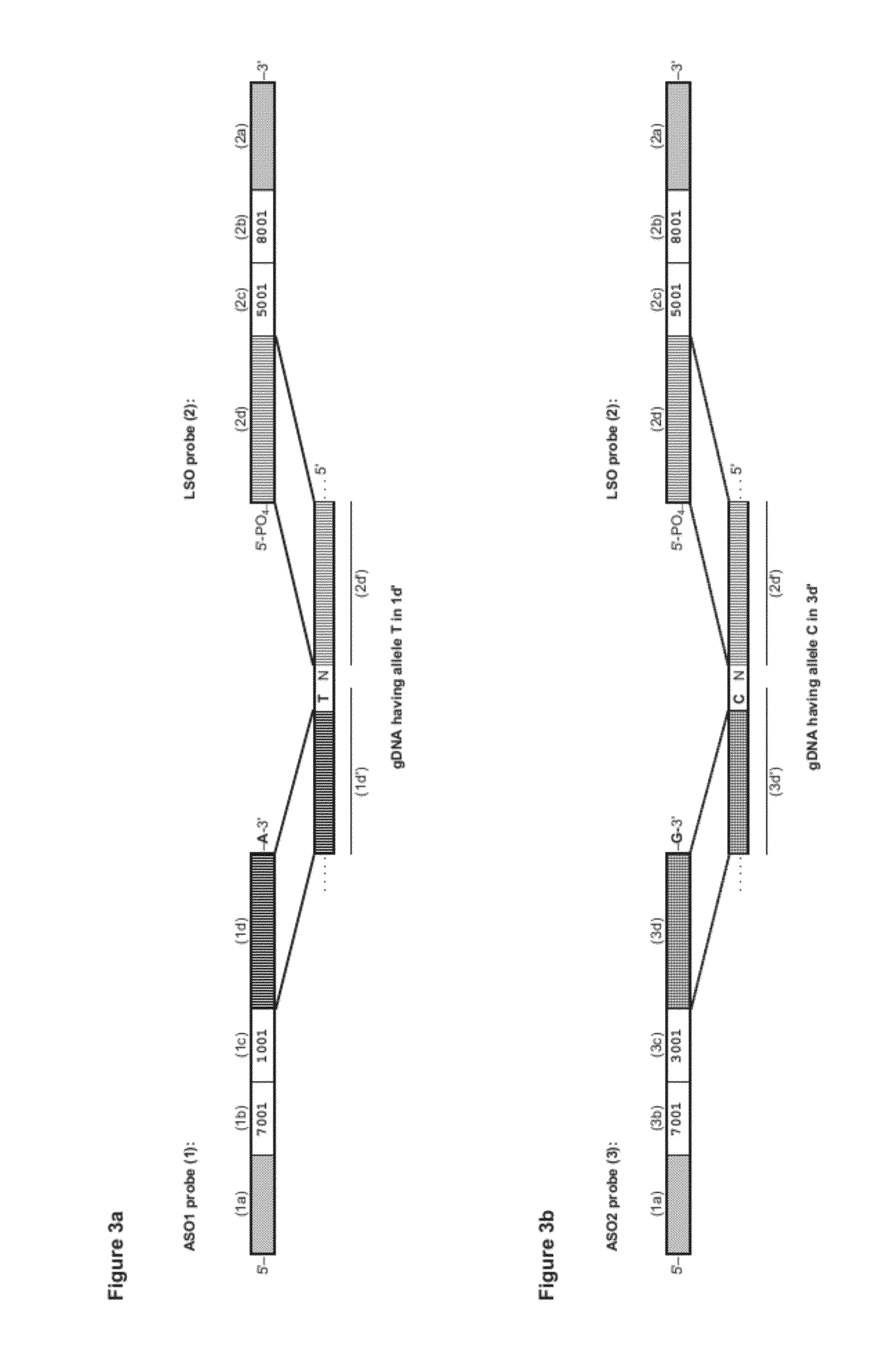 Multi-sample indexing for multiplex genotyping