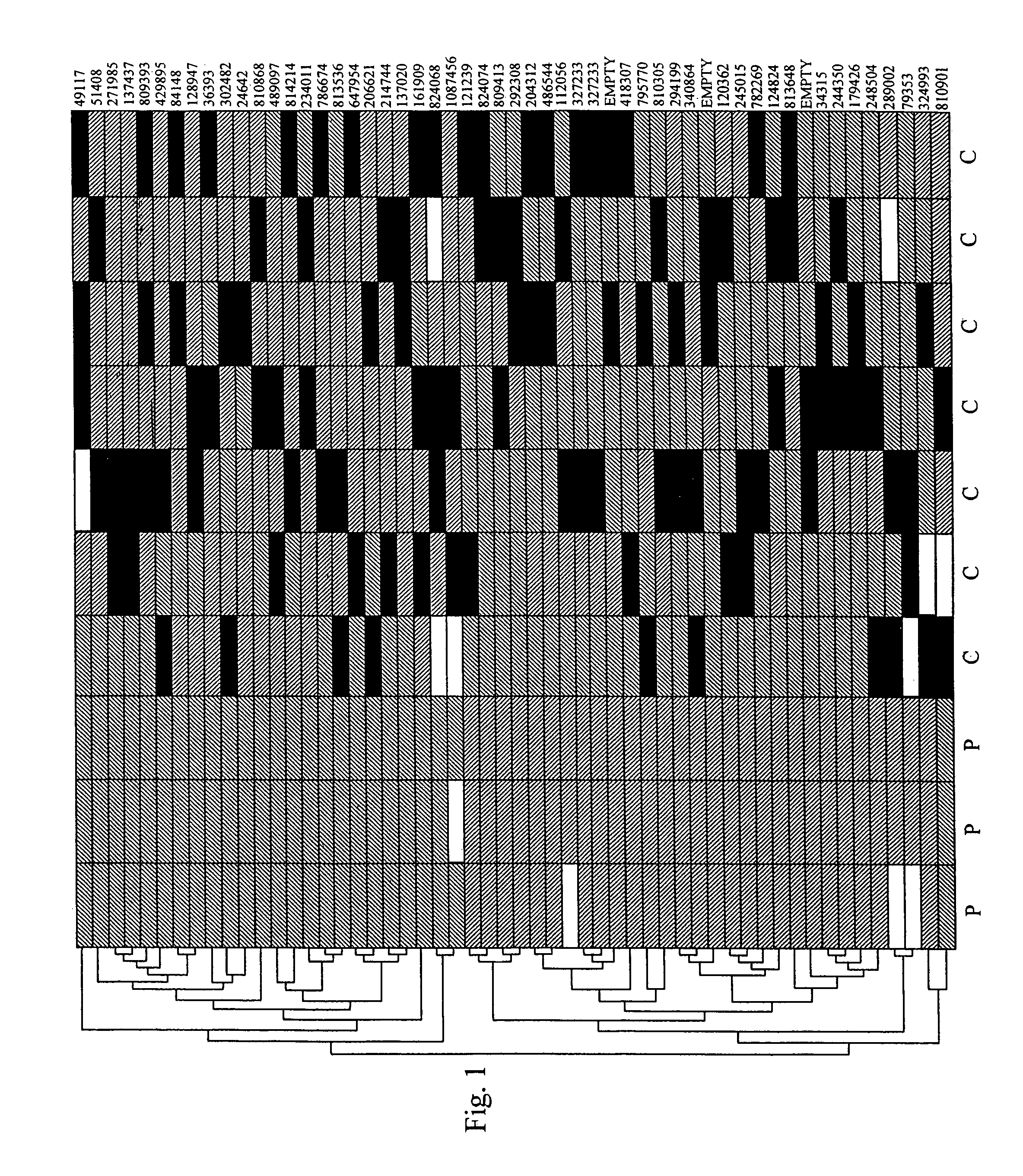 Method for the early detection of breast cancer, lung cancer, pancreatic cancer and colon polyps, growths and cancers as well as other gastrointestinal disease conditions and the preoperative and postoperative monitoring of transplanted organs from the donor and in the recipient and their associated conditions related and unrelated to the organ transplantation