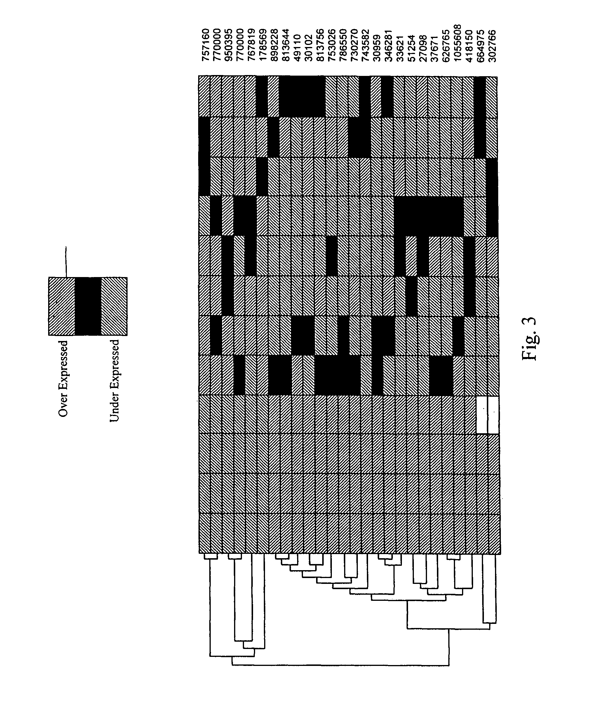 Method for the early detection of breast cancer, lung cancer, pancreatic cancer and colon polyps, growths and cancers as well as other gastrointestinal disease conditions and the preoperative and postoperative monitoring of transplanted organs from the donor and in the recipient and their associated conditions related and unrelated to the organ transplantation