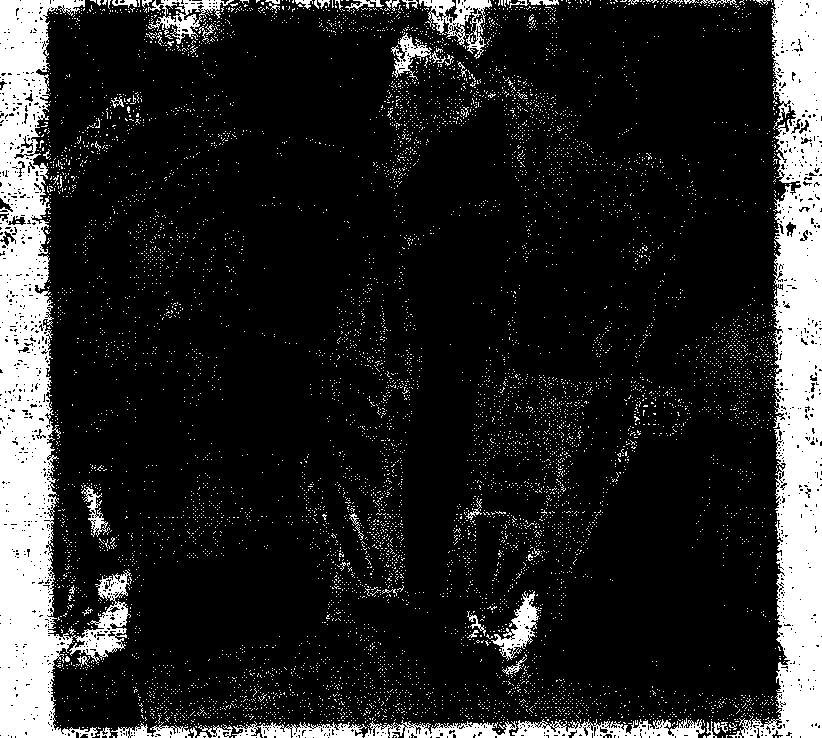 Method for evaluating influence of information hiding capacity on measurement precision of remote sensing image