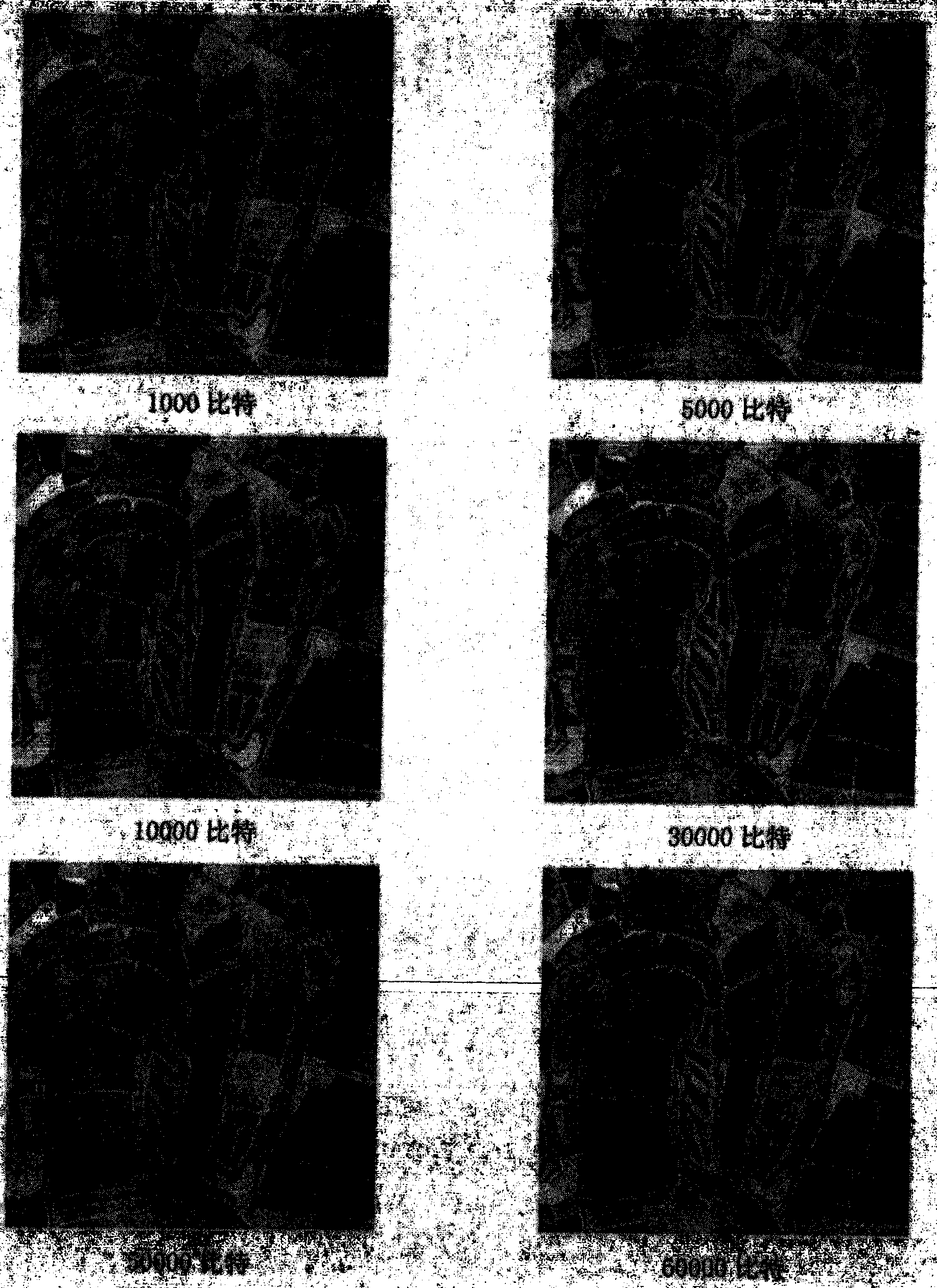 Method for evaluating influence of information hiding capacity on measurement precision of remote sensing image