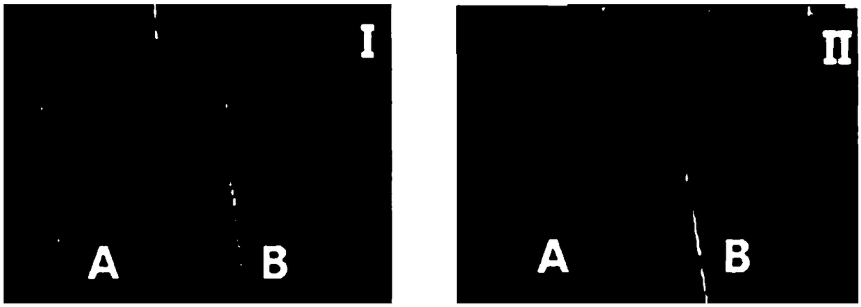 Water-soluble tilmicosin florfenicol compound injection and preparation method and application thereof