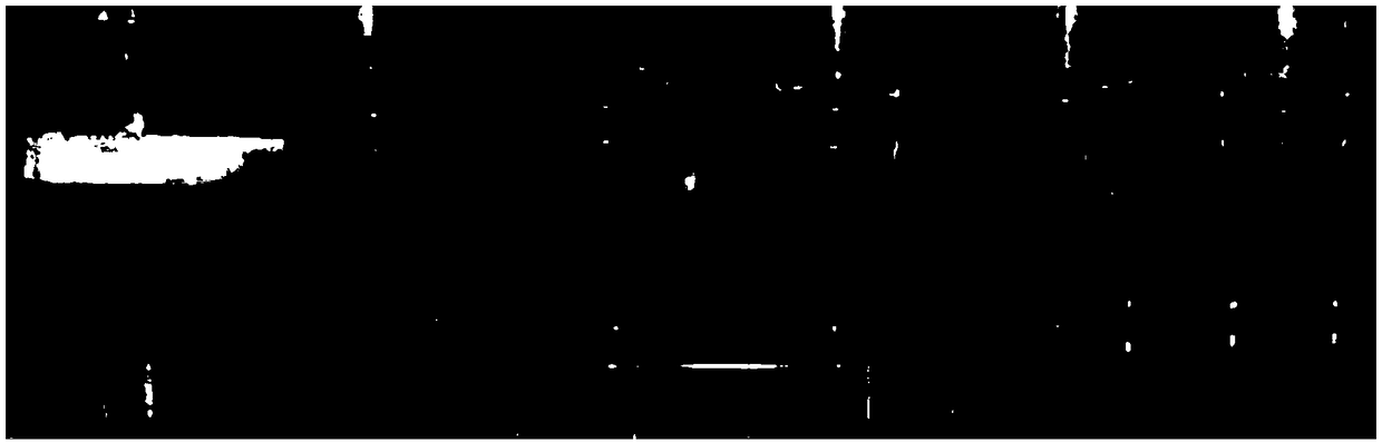 Water-soluble tilmicosin florfenicol compound injection and preparation method and application thereof