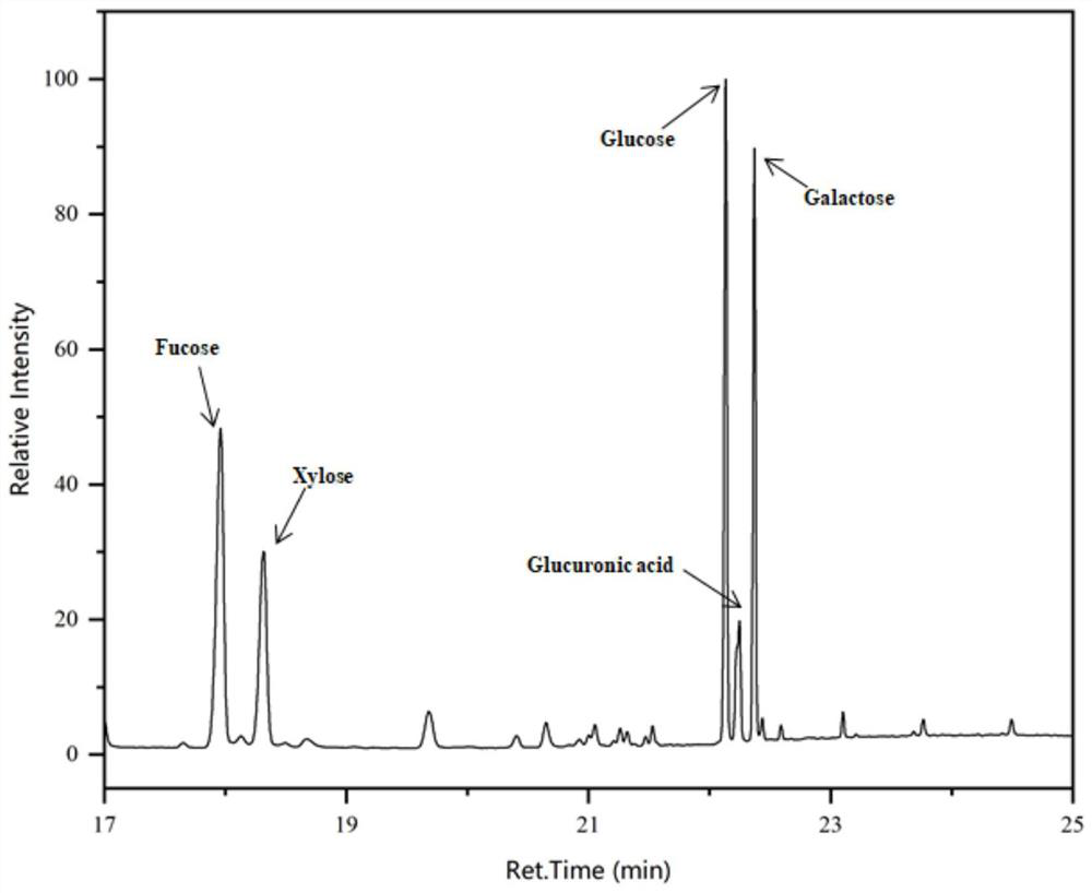 Application of fucoid oligosaccharide in the preparation of intestinal prebiotics