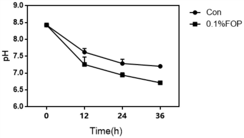 Application of fucoid oligosaccharide in the preparation of intestinal prebiotics