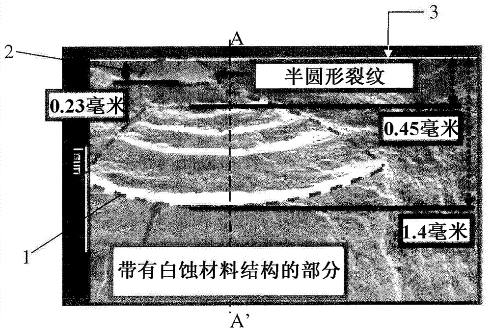 White etching cracks robustness increase of a roller bearing