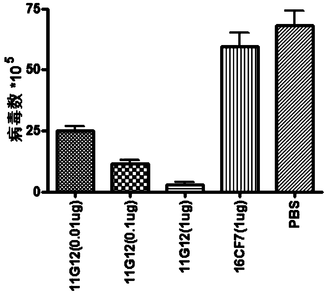 An anti-enterovirus ev71 IgA monoclonal antibody and its application