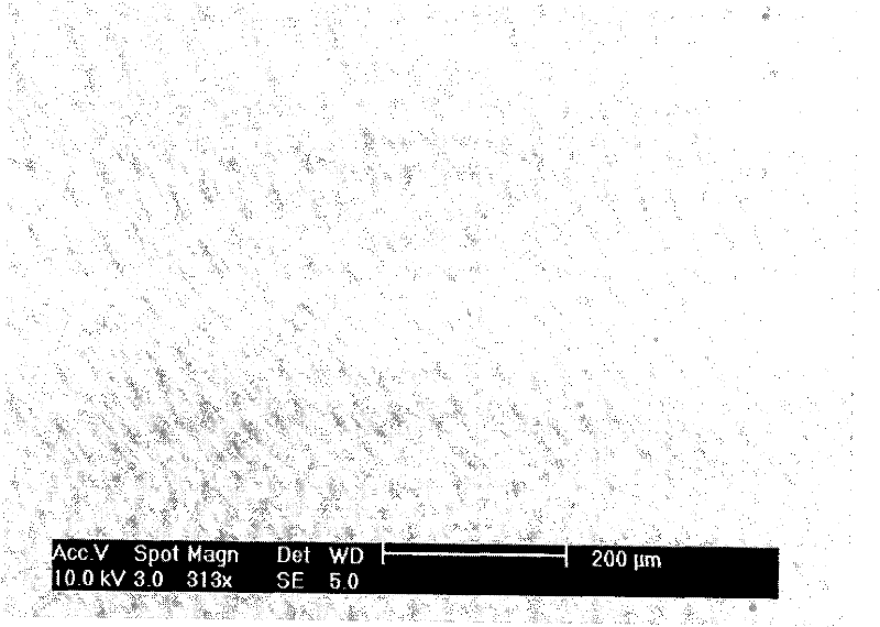 A kind of electrolytic solution and secondary lithium battery and capacitor containing the electrolytic solution