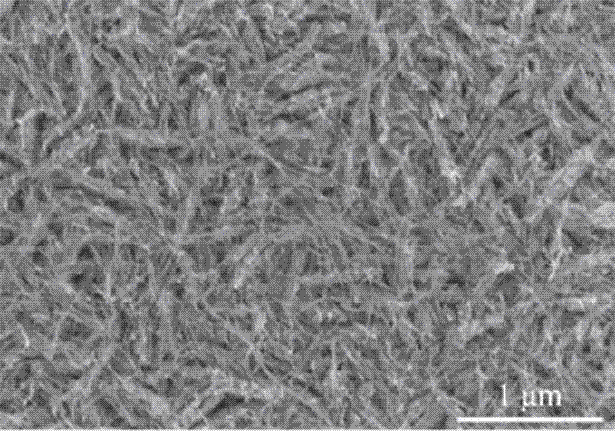 Method for directly growing tungsten oxide film on conducting glass