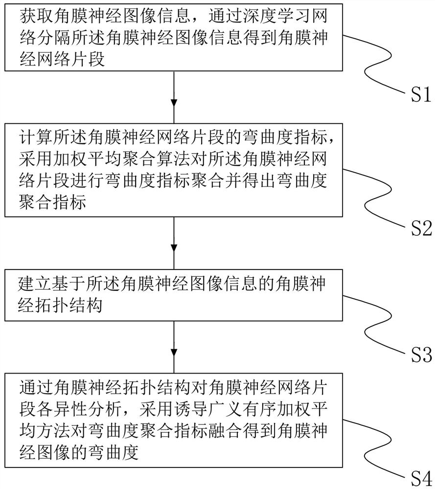 Neural image curvature estimation method and device based on topological structure