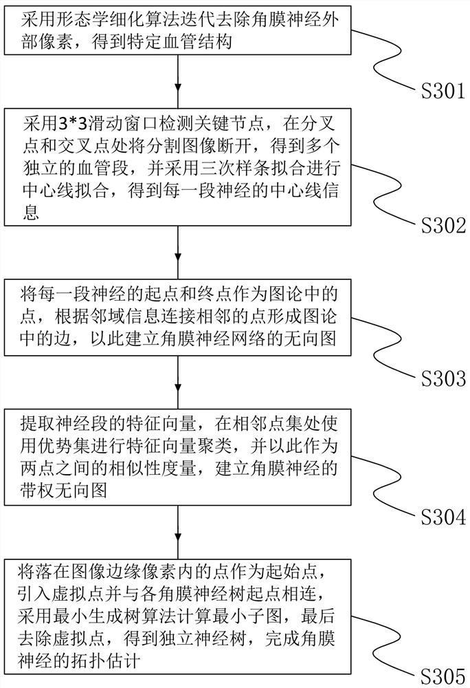 Neural image curvature estimation method and device based on topological structure