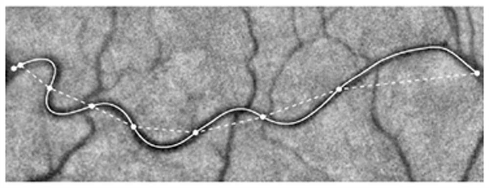 Neural image curvature estimation method and device based on topological structure