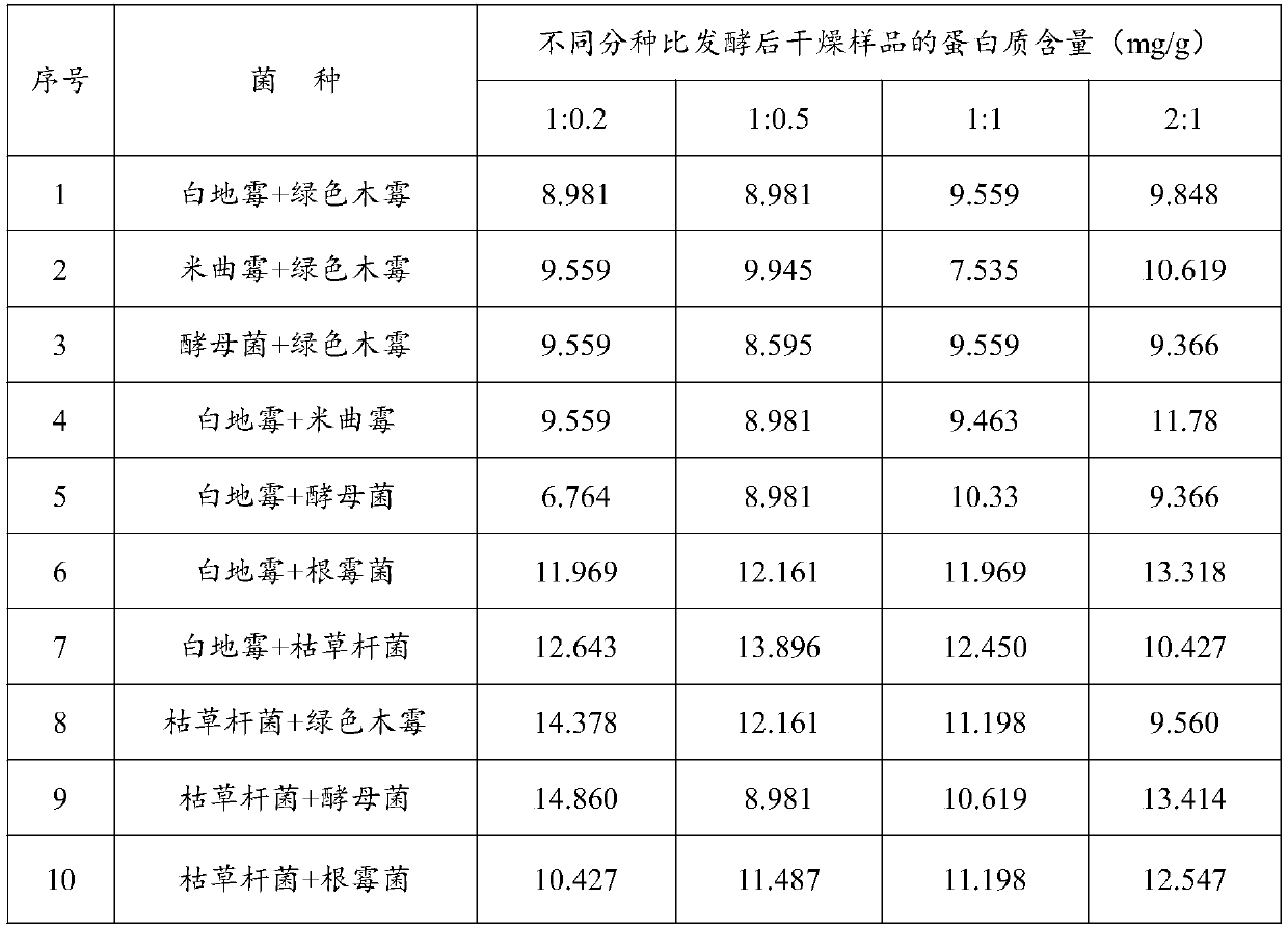 Composite micro-organism agent and freeze-dried micro-organism agent for fermenting apple pomace, and apple pomace protein feed