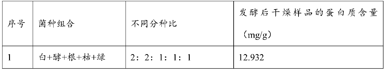 Composite micro-organism agent and freeze-dried micro-organism agent for fermenting apple pomace, and apple pomace protein feed