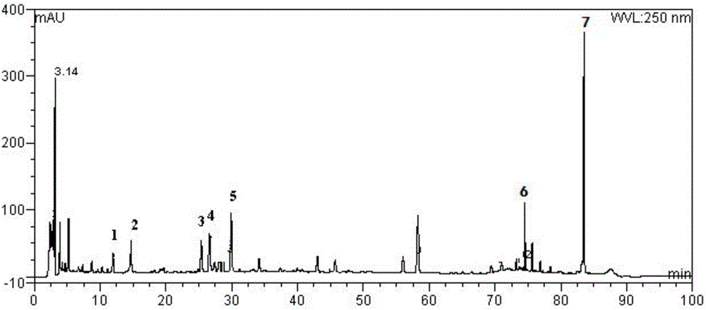 A kind of detection method of Shufengjiedu capsule